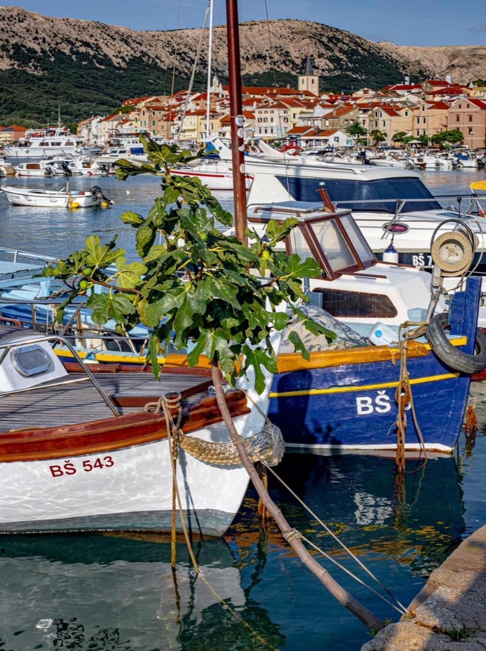 Art Suite Jurandvor Baska  Bagian luar foto